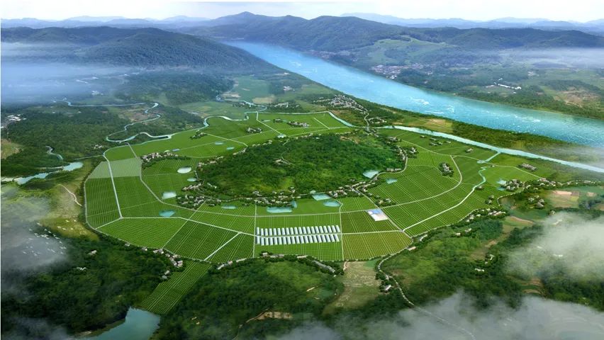 十四五农业绿色发展规划：2025年化肥农药利用率将提高到43%